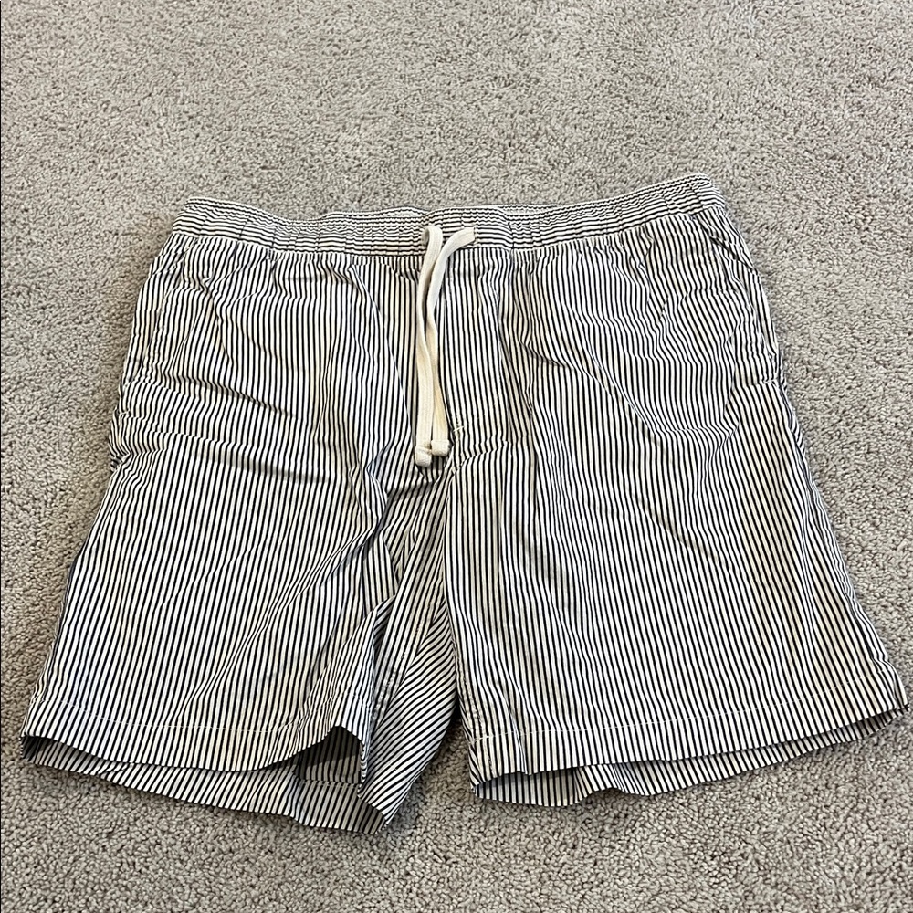 Banana Republic Navy and White Striped Shorts